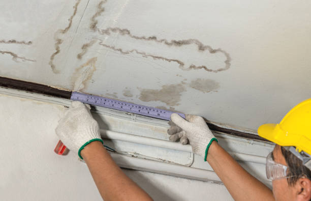 Reliable Mold Remediation contractor in Mansfield, MA by Water Damage Irwin